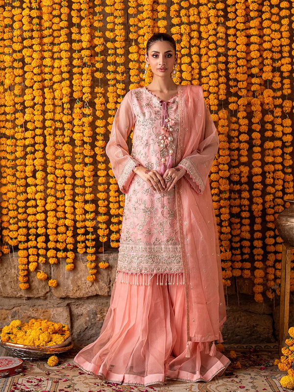 3Pc  Festive Embroidered Suit (JI046)