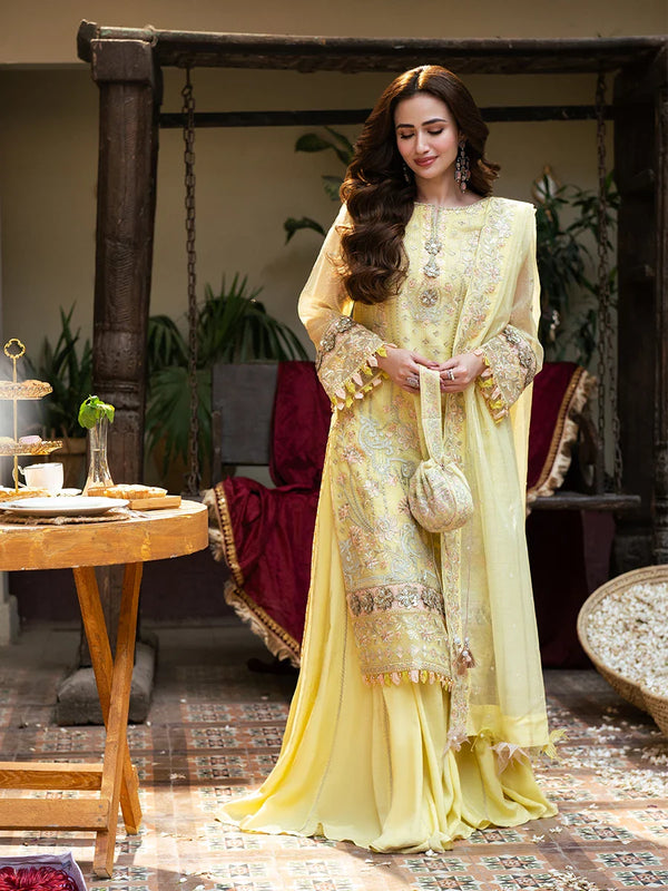 3PC Festive Embroidered Suit