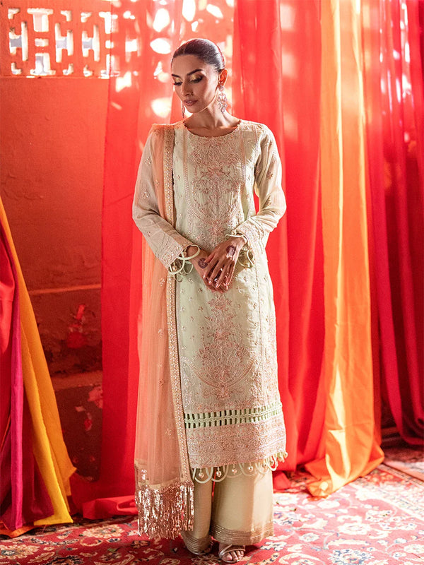 3Pc  Festive Embroidered Suit (No021)
