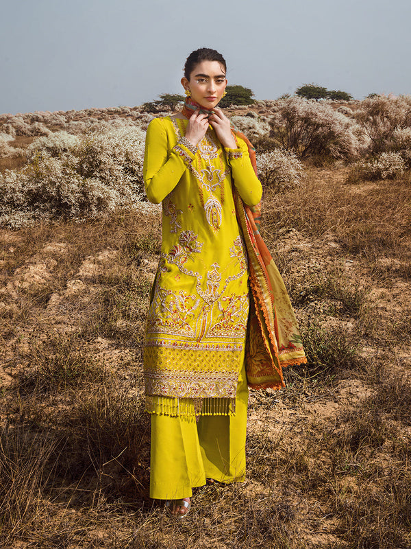 FESTIVE FORMAL EMBROIDERED SUIT